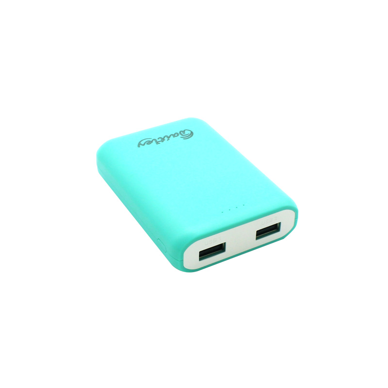 C3 Power Bank