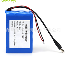 WTL 436596 battery pack